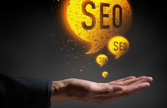 Organic SEO Company2